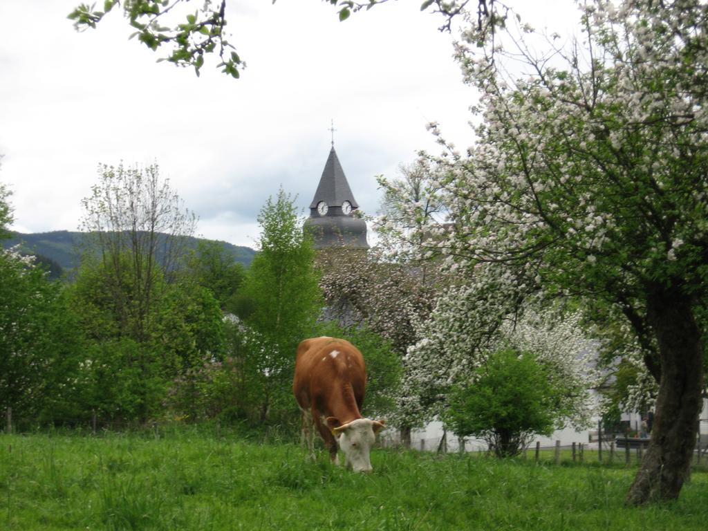 Ferienwohnung Moos-Hochsauerland Wiemeringhausen Δωμάτιο φωτογραφία
